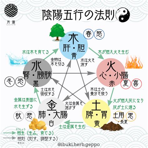 陰陽五行圖|五行